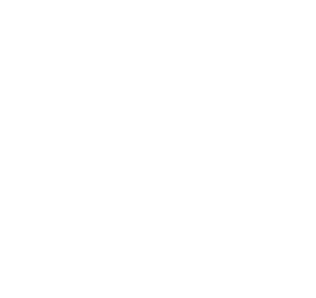 Tasmanian Government